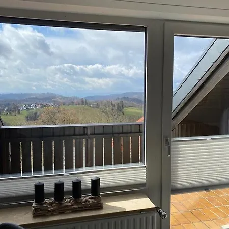 Harzblick642